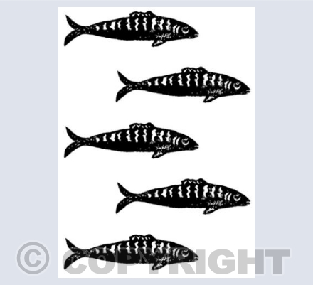 Vertical Mackerel
