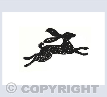leaping hare