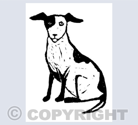 Jack Russell