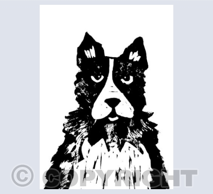 Border Collie