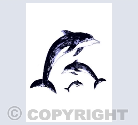 3 blue dolphins