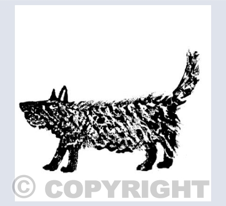 scruff dog square