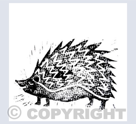 Hedgehog