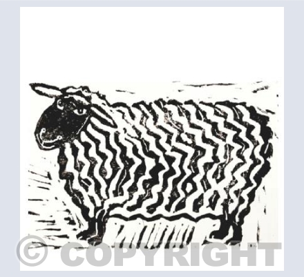 Sheep