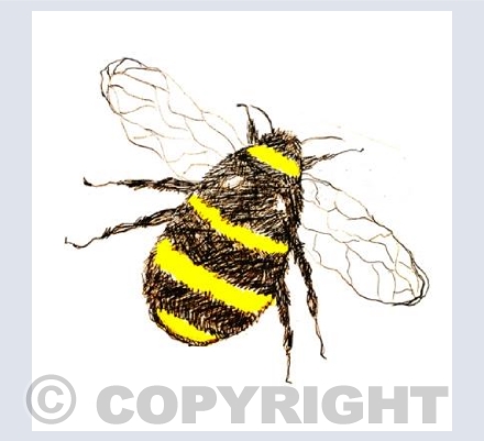 Solo Bumble Bee