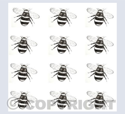 Twelve Bees Black and White