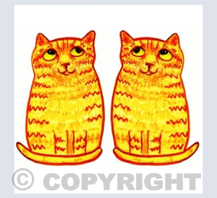 Ginger Cats Flirting