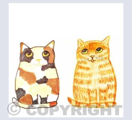 Tortie and Ginger Cata