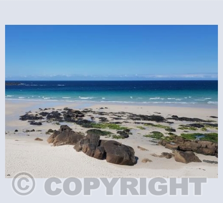 Sennen Blues 2