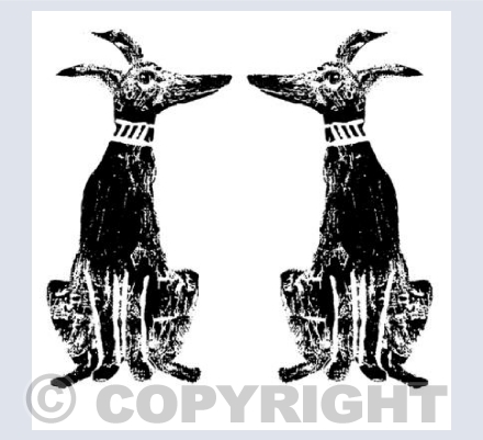 Two Whippets