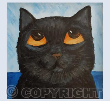 Mini Black Cat