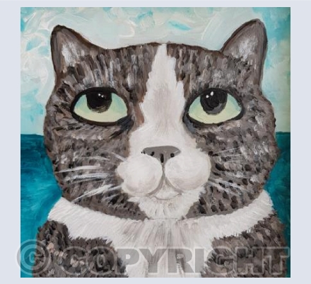 Mini Tabby and White Cat