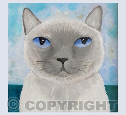 Ruby Tuesday Cat