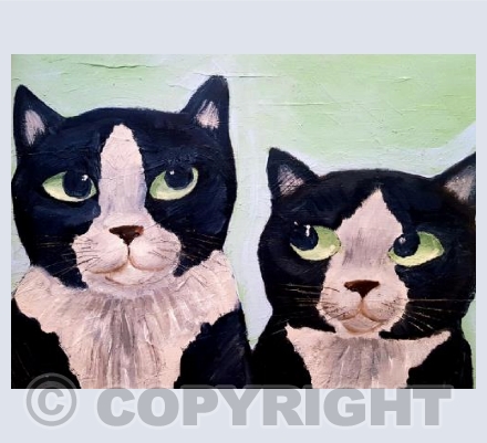 Black and white cat duo