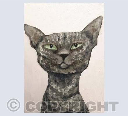 Black and White Cat Duo