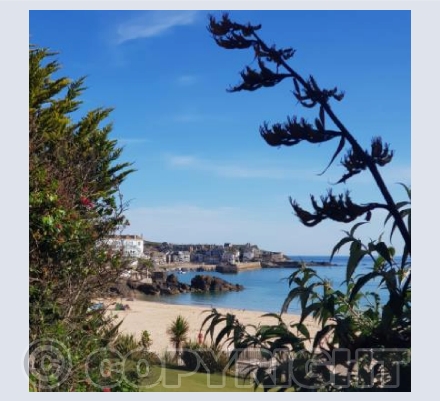 St Ives harbour from Porthminster