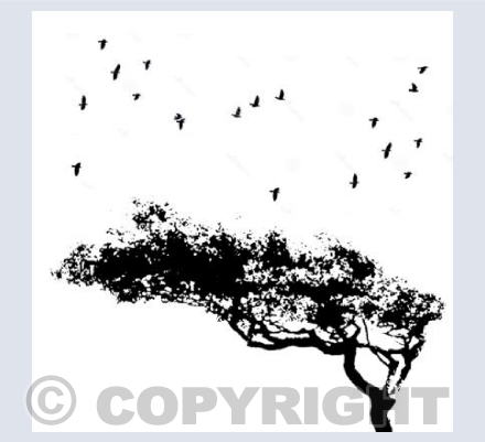 Windy Tree and Birds