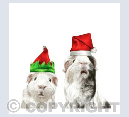 Santa's Little Helpers