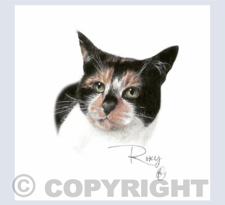 Roxy