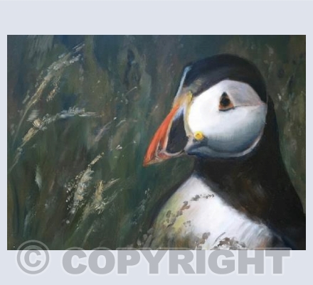 Puffin Ashore