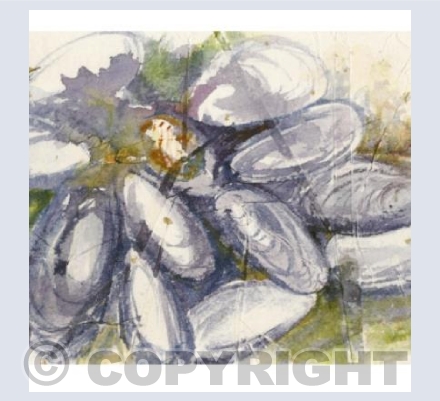 Mussels