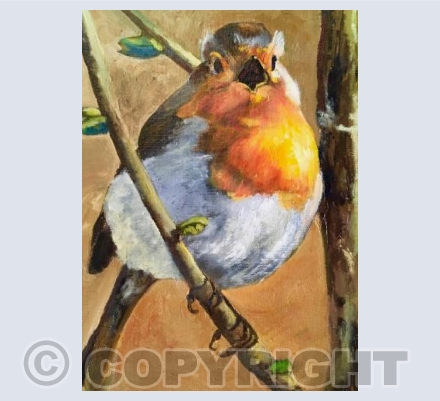 Robin Singing.  