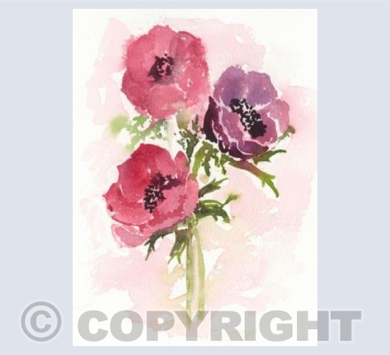 Anemones