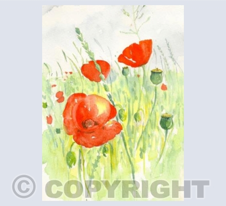 Poppy Time