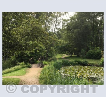 Furzey Garden's Pond
