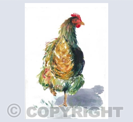 Feathered Friend