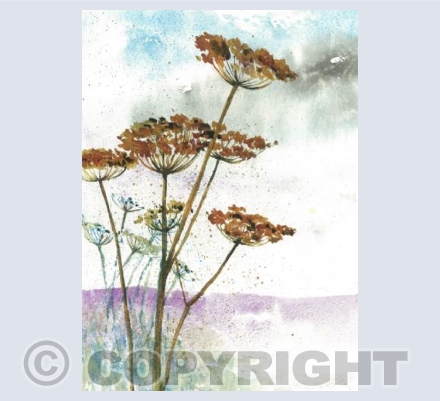 Gone to Seed