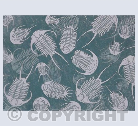 Trilobites