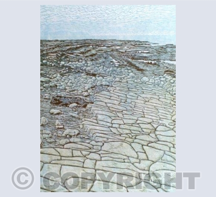 Kilve Beach