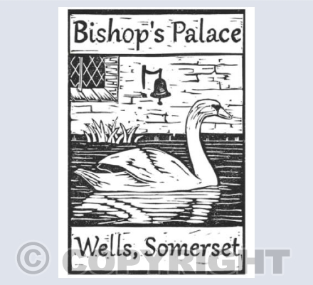 Bishop's Palace Swans