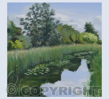 Midsummer, Wicken Fen