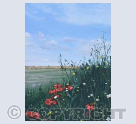 Field Edge Flowers  1