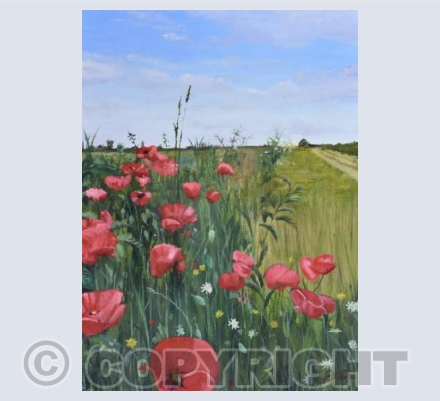 "Field Edge Flowers 2"