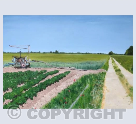 Irrigating the Fens