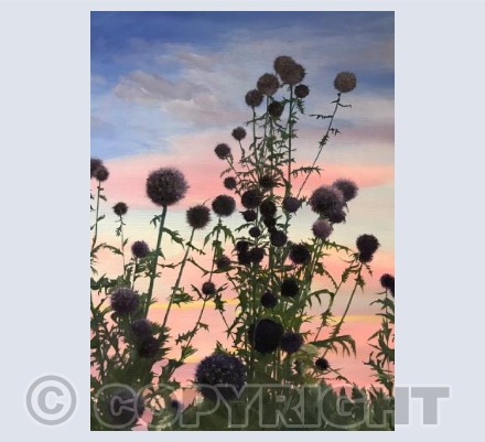 Globe Thistles at Dusk