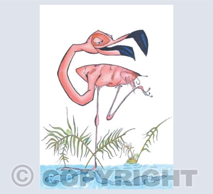 Flamingo