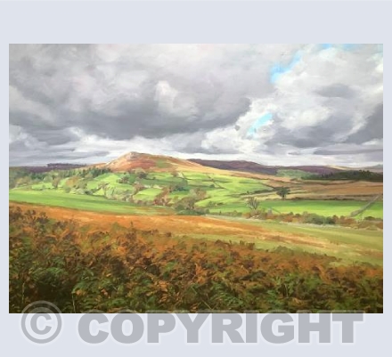 View from Gutter Tor
