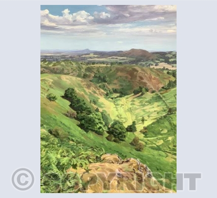 The Shape of the Land