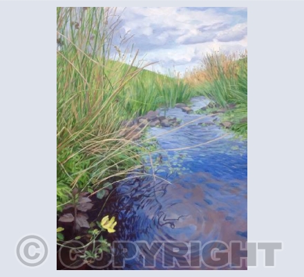 Upland Stream