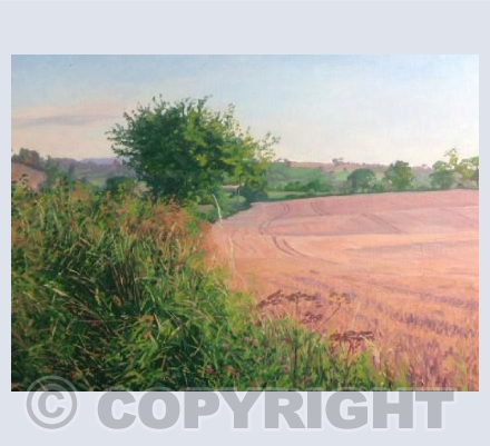 Summer Landscape