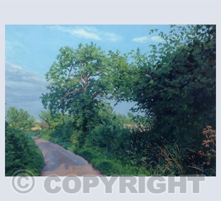 Country Lane