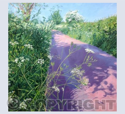 Lane in May