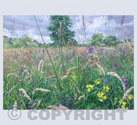 Meadow