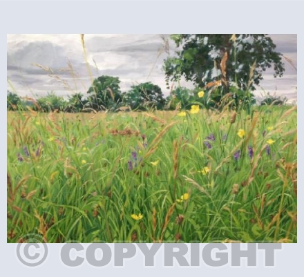 Meadow 3