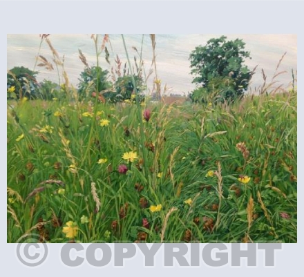 Meadow 2