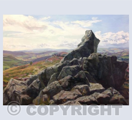 Diamond Rock, Stiperstones